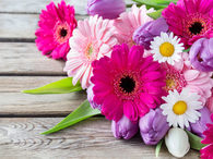 Pretty Flowers