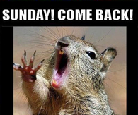 Sunday Come Back