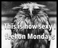 How I feel on Mondays