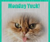 Monday Yuck!  Try to have a good day anyway!
