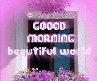 Good Morning Beautiful World