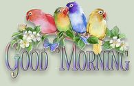 Good Morning