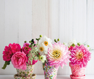 Small Flower Pots as Vases