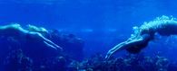 Mermaids