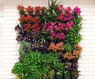 Step by Step Tutorial for a Vertical Garden