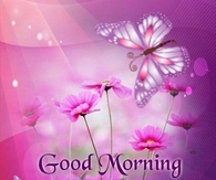 Good Morning Friends