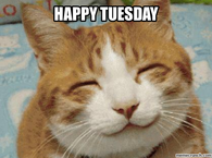 Smile its Tuesday