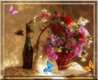 Animated Still Life