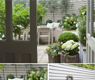 Cute Basket Garden