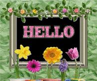 Hello