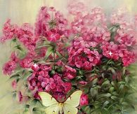 Pretty Butterfly and Pink Flowers