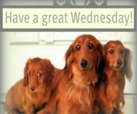 have a great wednesday