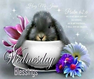 Wednesday Blessings