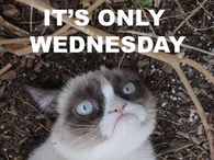 Its only Wednesday