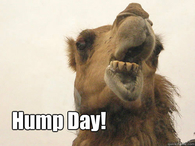Hump Day