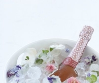 Champagne on Frozen Flower Ice Cubes