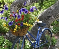 Bright & Cheery Flower Basket on Bicycle