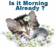 Is it morning already?