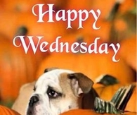 Happy Wednesday