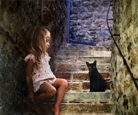 Little black cat
