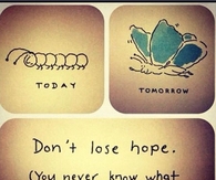 Dont Lose Hope