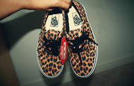 Leopard vans