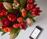 Tulip bouquet