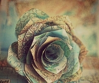Rose map