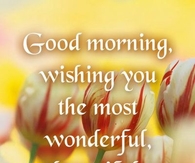 Good morning Have a Blessed Day