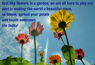 Just like flowers in a garden...