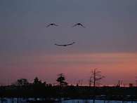 Happy Day