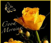 Good Morning