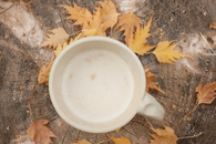 Autumn drink
