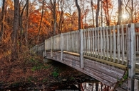 Autumn bridge