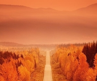 Orange Autumn haze