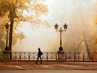Autumn fog