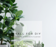 DIY Chrome and Concrete Planter