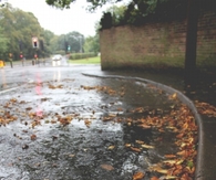 Wet autumn streets