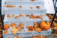 Jack O Lanterns