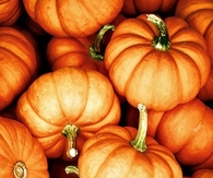 Pumpkins