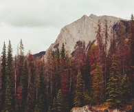 Wild autumn streams