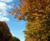 Crisp blue autumn skies