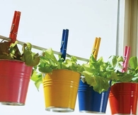 Cute Colored Tin Planter Garden