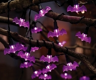 Bat lights