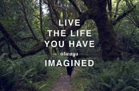 Live the life you have always imagined
