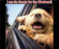 Ready for the weekend