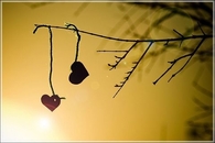 2 Hearts on a Tree Branch