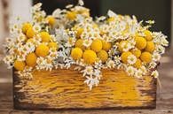 Bright & Cheery Flower Box