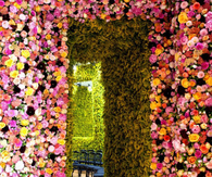 Flower Doorway