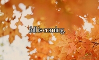 Fall is coming